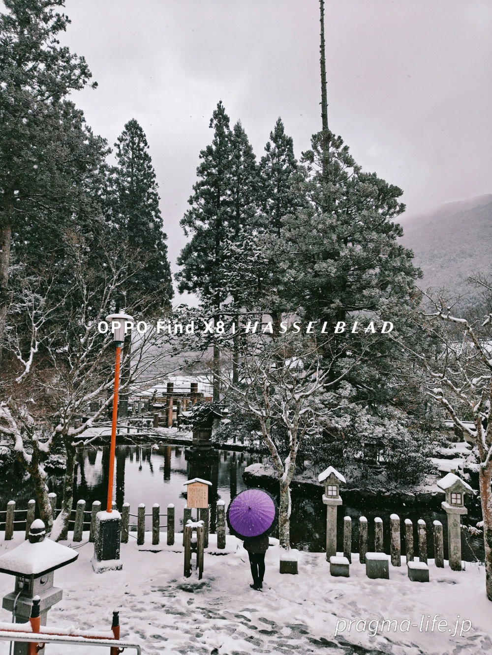 OPPO Find X8のカメラ性能は？実際の作例でチェック。色彩と望遠性能が