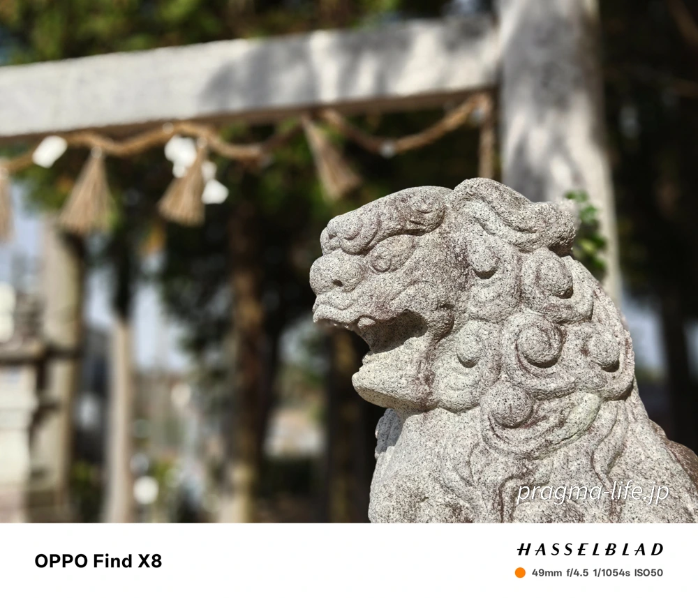 OPPO Find X8のカメラ性能は？実際の作例でチェック。色彩と望遠性能が